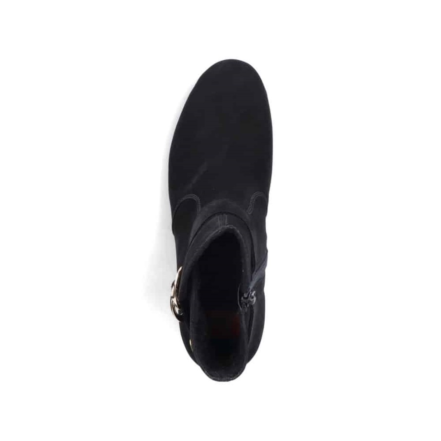 Grijze Ricker |b5721-45